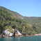 Green Forest - Ilha Grande - Brasil
