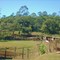 ZONA RURAL- S.B.CAMPO