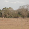 casa do sitio ao lado do corrego bonito