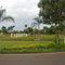 Trevo da Riola