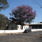 Capela São Roque - São Roque - Jaboticabal - SP - BR