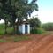 Orada - estrada da UNESP - Jaboticabal-SP-Br