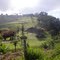 SITIO EM PARAIBUNA