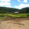 Viveiro - Ibama