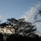 CÉU AZUL SÍTIO KARLIL