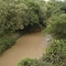 Ponte sobre rio Turvo (rodovia SP-225), Espírito Santo do Turvo, SP, Brasil.