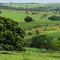 Paisagem rural - ao fundo o Rio Turvo