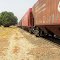 Composição ferroviária passando pelo Município de Urânia - SP