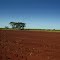 Terra pronta para o plantio.