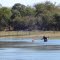 Rio Tietê Km. 11 (Pesca Subaquática) Pereira Barreto S.P