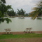 Cedral Pesca e Lazer - Potirendaba-SP - 02/11/2008