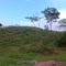 Serrinha de Cedral