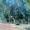 Rio Preto - Nova Aliança estrada de terra