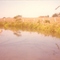 Rio Borboleta-Bady Bassitt-SP