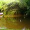 Só curtindo a natureza! -Foto:Luciano Rizzieri