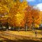 Regner Park, West Bend, Fall 2009