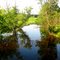 Eisenbahn State Trail from West Bend to Kewaskum Wisconsin
