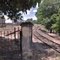 Trilhos do Trem - São João da Boa Vista
