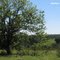 Paisagem rural