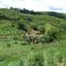 Fazenda