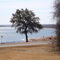 Lake Whitney