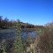 Ham Creek