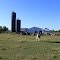 Dairy Cattle Feeding on a Farm, 6152 Arkona Road, Saline Township, Michigan