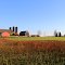 Gall Farm, 6174 Willow Road, Saline Township, Michigan