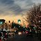 Evans St in the Thanksgiving season (Tecumseh, MI)
