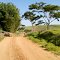 Bike riding south-west of Quintana 2