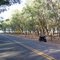 Placa 28