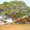 Sede social (rendeira)- Faz. Oroitê
