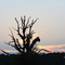 Lufkin Sunset 8/16/08