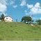 no alto do morro...