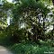 Foto: Estrada Ribeirão Branco ~ Guapiara