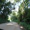 Foto: Estrada Ribeirão Branco ~ Guapiara
