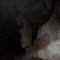 Estalactite 2