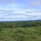 Caatinga verde com as boas chuvas - Caculé (BA)