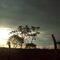 por do sol no sertao cacule