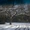 Snow highlights