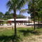 Haras Excalibur