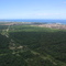 Parque Natural Municipal do Mico Leão Dourado