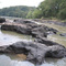 Trecho do rio Aguapeí, região de Salmourão / SP