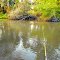 RIO SÃO JOSÉ DOS DOURADOS FLOREAL SP