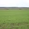 Cadastro de Compromisso Socioambiental - Fazenda Tapejara - Cadastrada desde 2010
