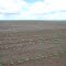 Cadastro de Compromisso Socioambiental - Fazenda Caçula II - Cadastrada desde 2010