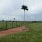www.fazendaspiaui.com.br