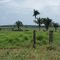 www.fazendaspiaui.com.br