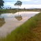 pesqueiro