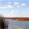 Wetlands at Atwater Prairie